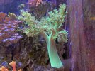 IMG_5228.JPG