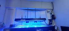 20221025_130204.jpg