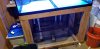 20190609_150846.jpg
