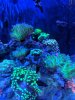 IMG_20190609_142128.jpg