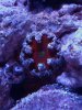 IMG_20190601_184324.jpg
