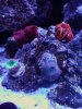 IMG_20190601_184454.jpg