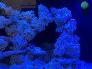 IMG_7397.jpeg