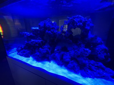 IMG_2147.jpeg