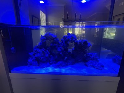 IMG_2143.jpeg