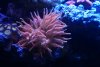DSC03404.JPG
