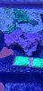 20190707_130002.jpg 20190707_130002.jpg