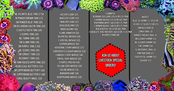 Fish List (9).jpeg