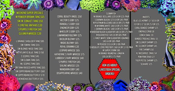 Fish List (12).jpeg