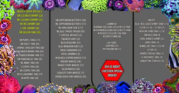 Fish List (18).jpeg