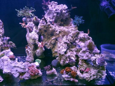 20231126_202413[1].jpg