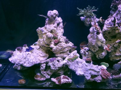 20231126_202429[1].jpg
