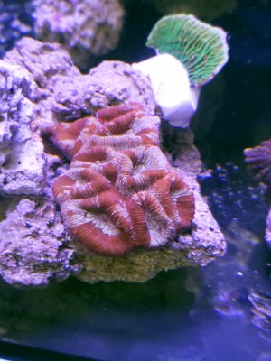 20231126_203406[1].jpg