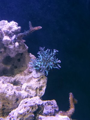 20231126_203213[1].jpg