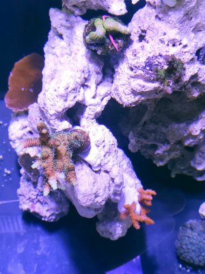 20231127_201105.jpg