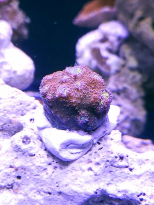 20231127_201234.jpg