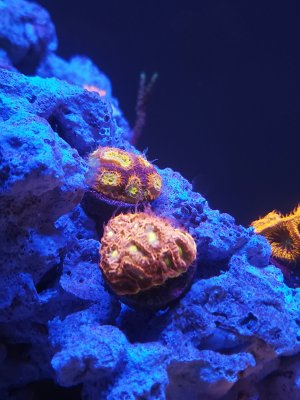 IMG_20231217_132529.jpg