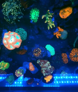 20240115_221949.jpg
