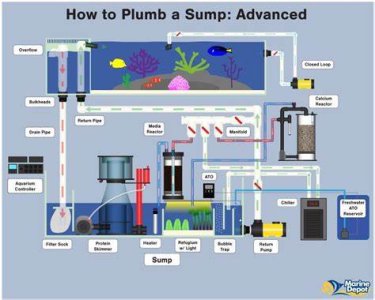 aquarium flow diagram.jpg