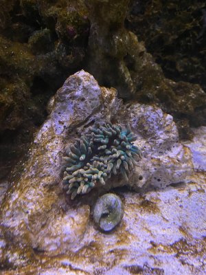 IMG_4759.jpeg