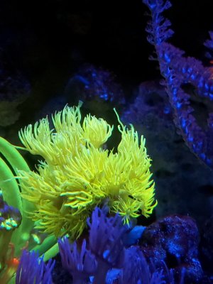 20240409_000133.jpg