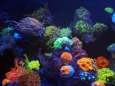 20240422_210036.jpg