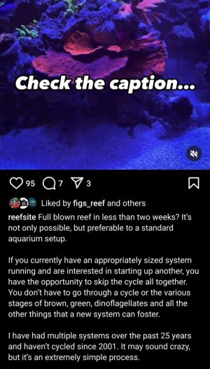 Screenshot_20240428-161143_Instagram.jpg