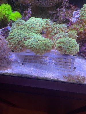 thumbnail_IMG_4264.jpg