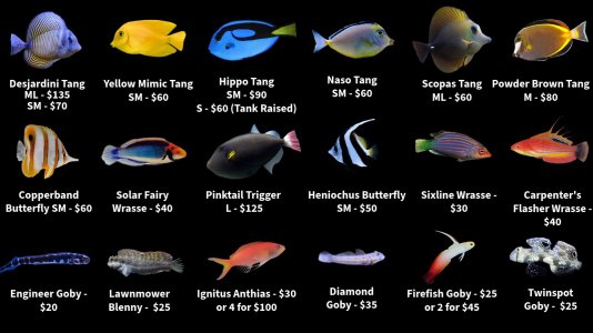 Store Fish List 1.jpeg