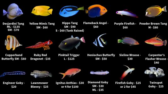 Store Fish List 1 (1).jpeg