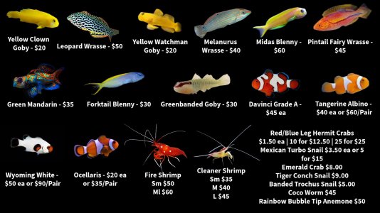 Store Fishlist 2 (1).jpeg