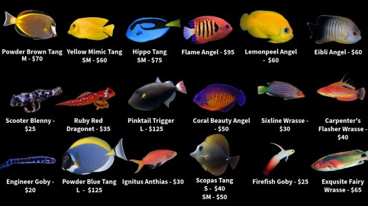 Store Fish List 1 (4).jpeg