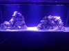 20190729_165137.jpg