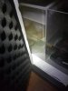 20190729_165208.jpg
