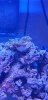20190721_083458.jpg