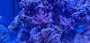 20190721_083441.jpg