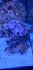 20190720_083738.jpg