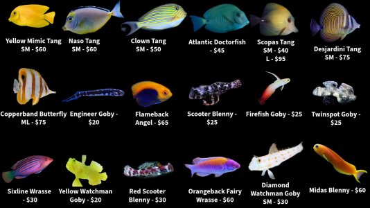 Store Fish List 1.jpeg