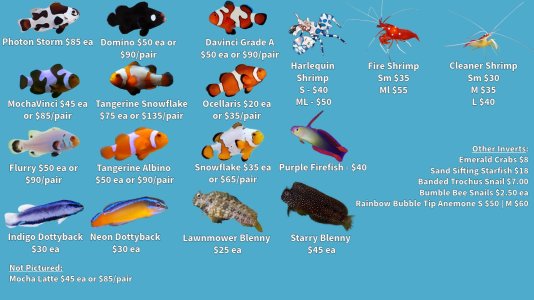 Store Fishlist 2 (4).jpeg