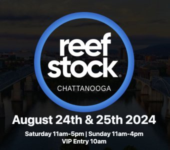 Reefstockbanner.jpg