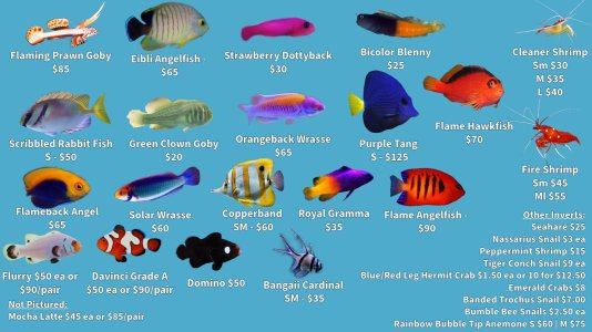 Store Fishlist 2 (9).jpeg