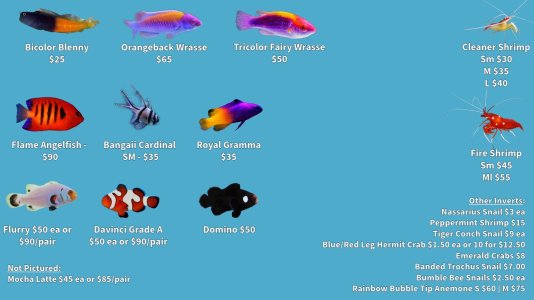 Store Fishlist 2 (10).jpeg