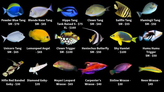 Store Fish List 1 (10).jpeg