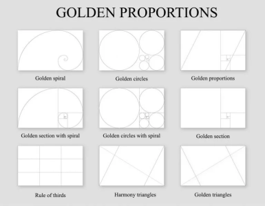 golden-proportions-768x599.png