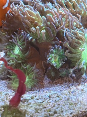 IMG_9903.jpeg IMG_9903.jpeg