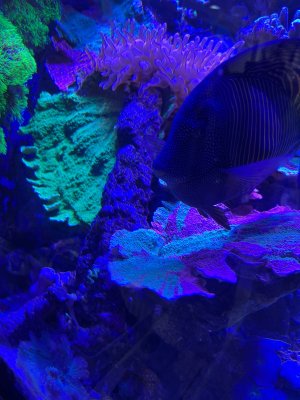 IMG_3870.jpeg