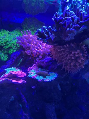 IMG_4114.jpeg