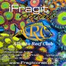 iFragit Corals