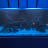 Deep Sea Horizon Reef
