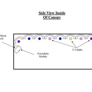 SideViewOfInsideCanopy.jpg